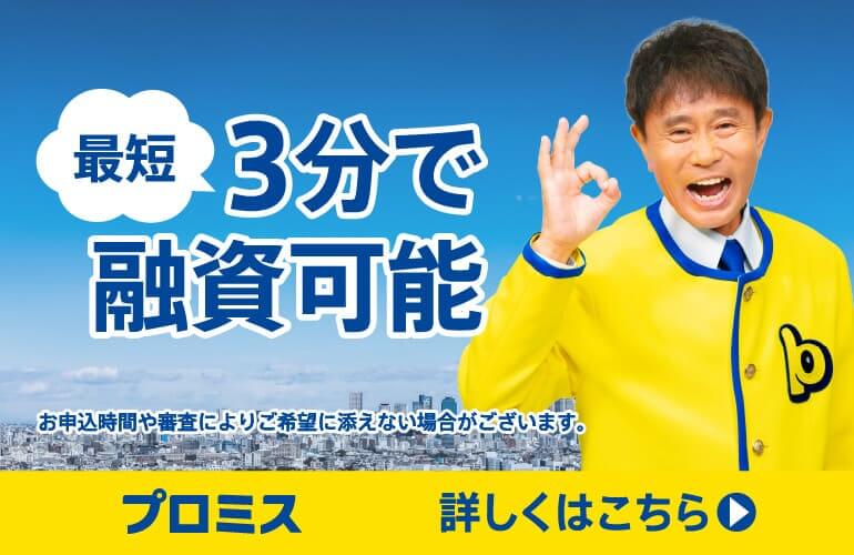 プロミス公式バナー画像
